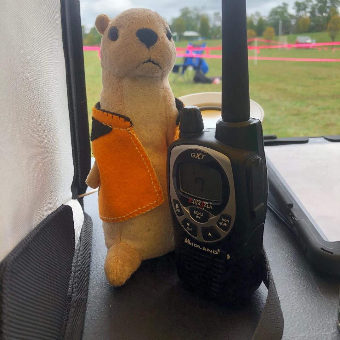 A stuffed animal and a walkie talkie in the back of a vehicle.