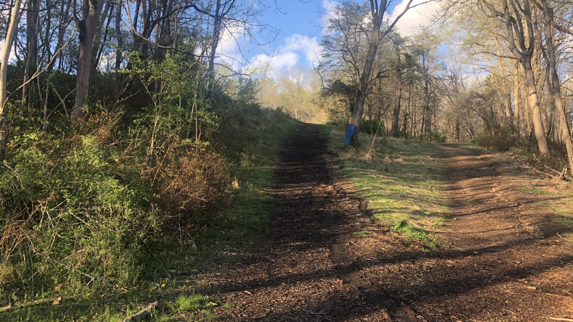 A dirt road with trees in the background