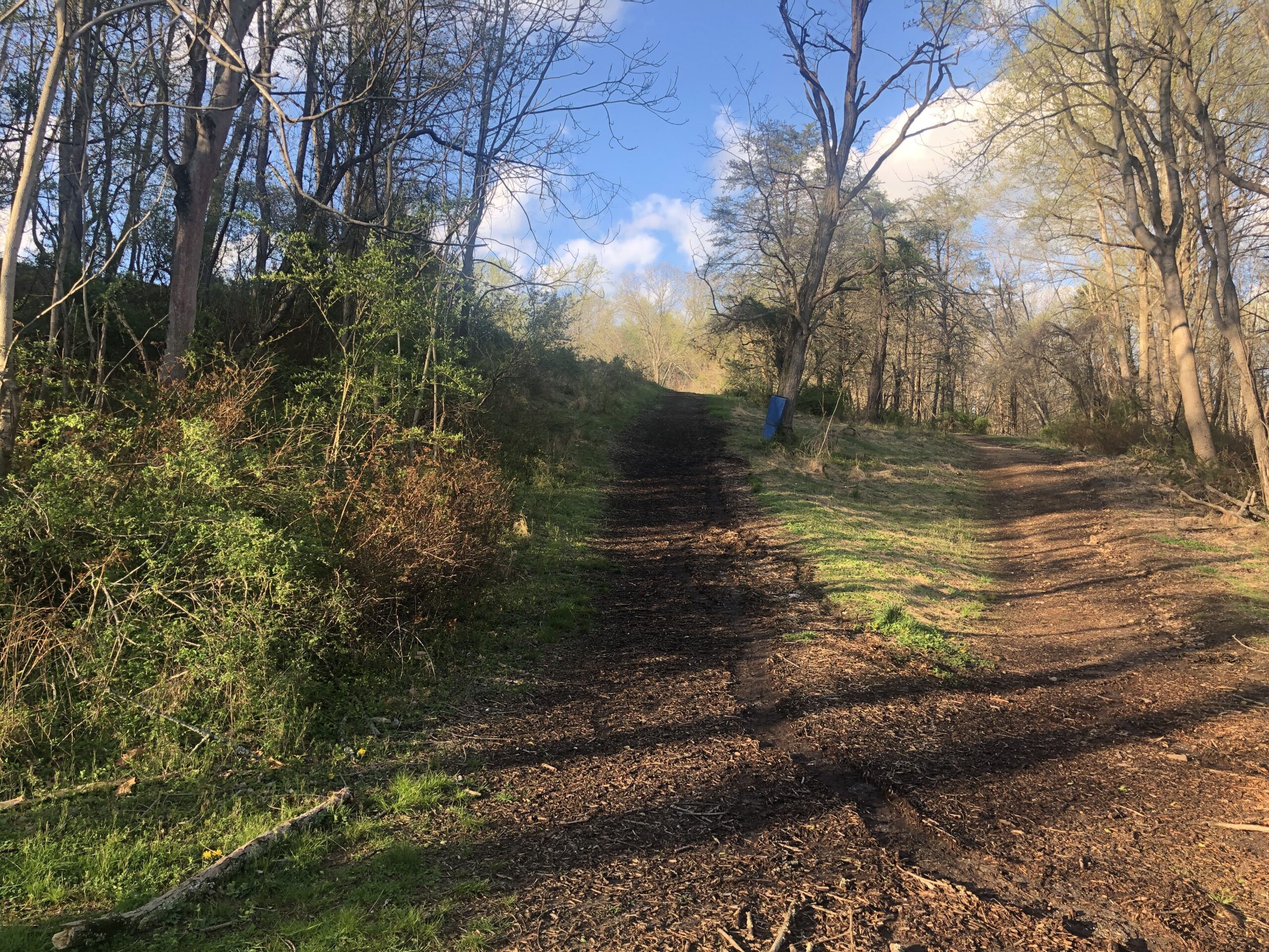 A dirt road with trees in the background