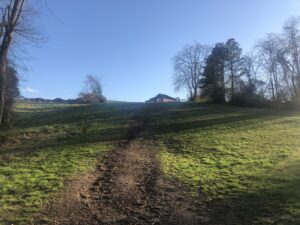 A dirt road going through the middle of a field.