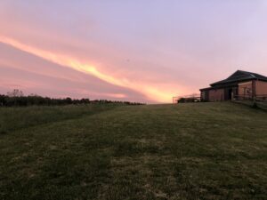 A house sitting on top of a grass covered field.