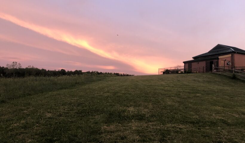 A house sitting on top of a grass covered field.