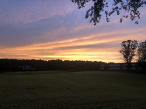 A field with trees and the sun setting in the background.