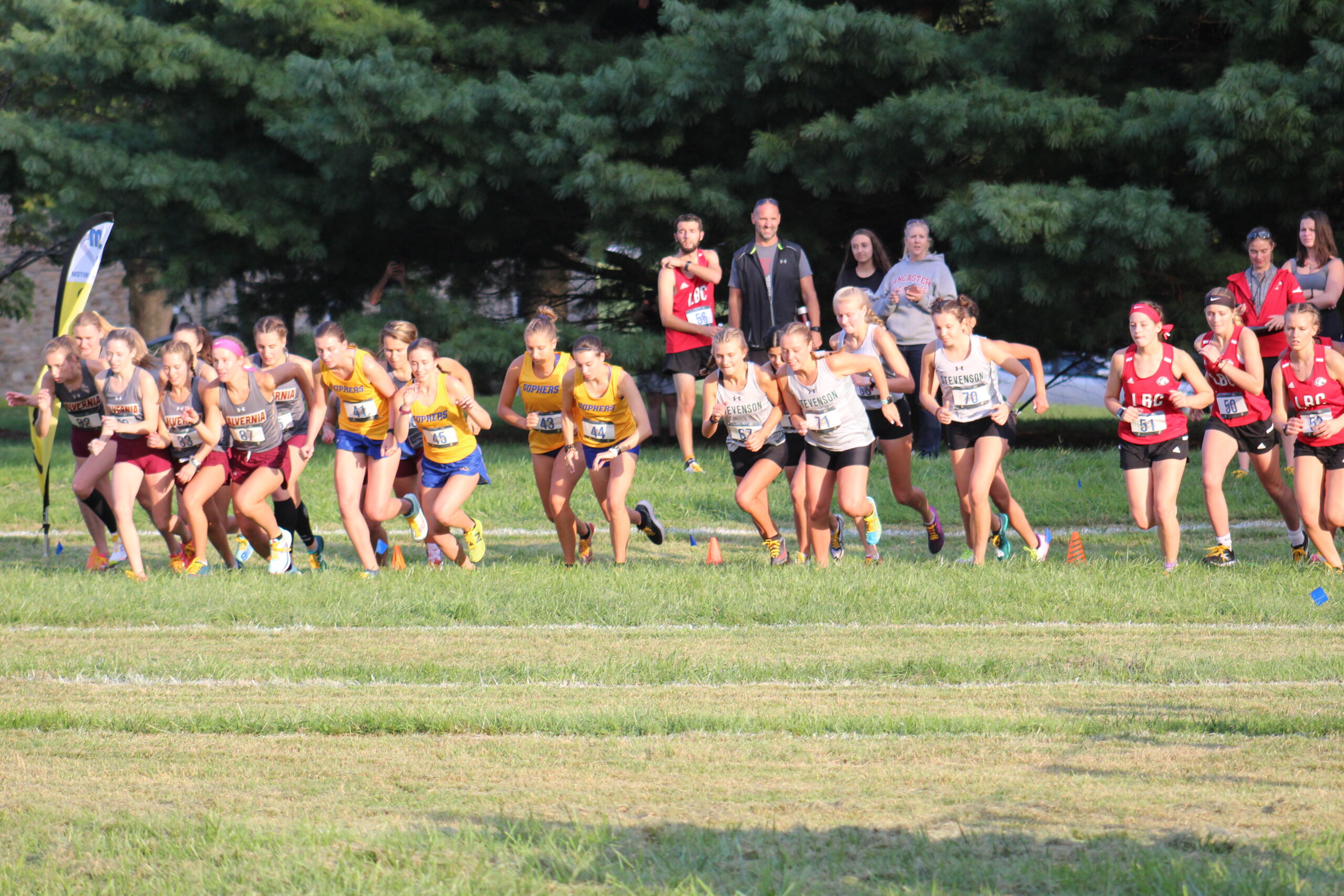 A group of people running in the grass.