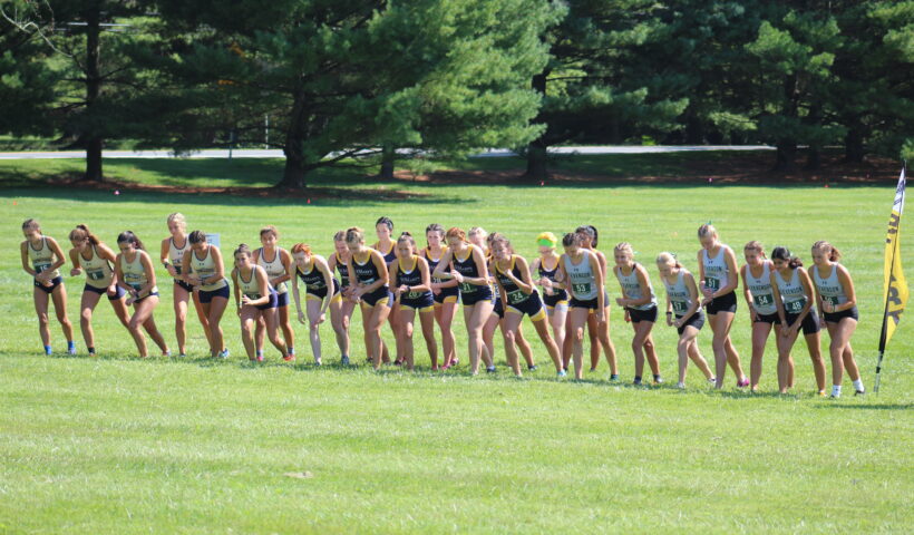 A group of girls running in the grass.