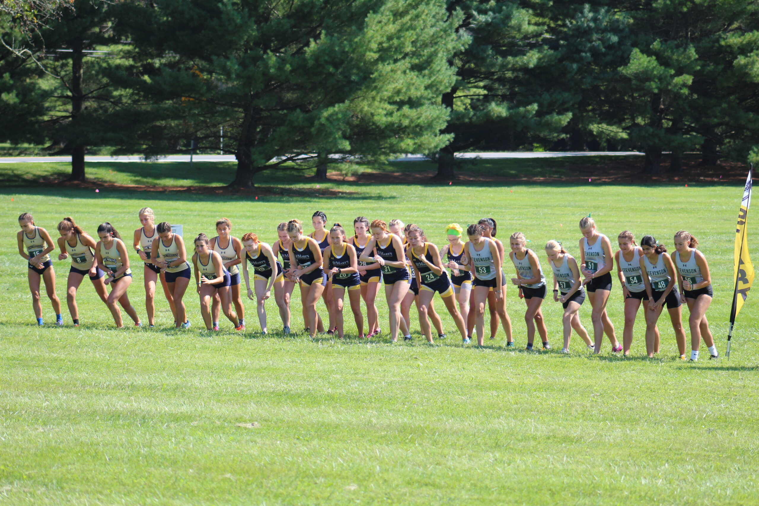 A group of girls running in the grass.