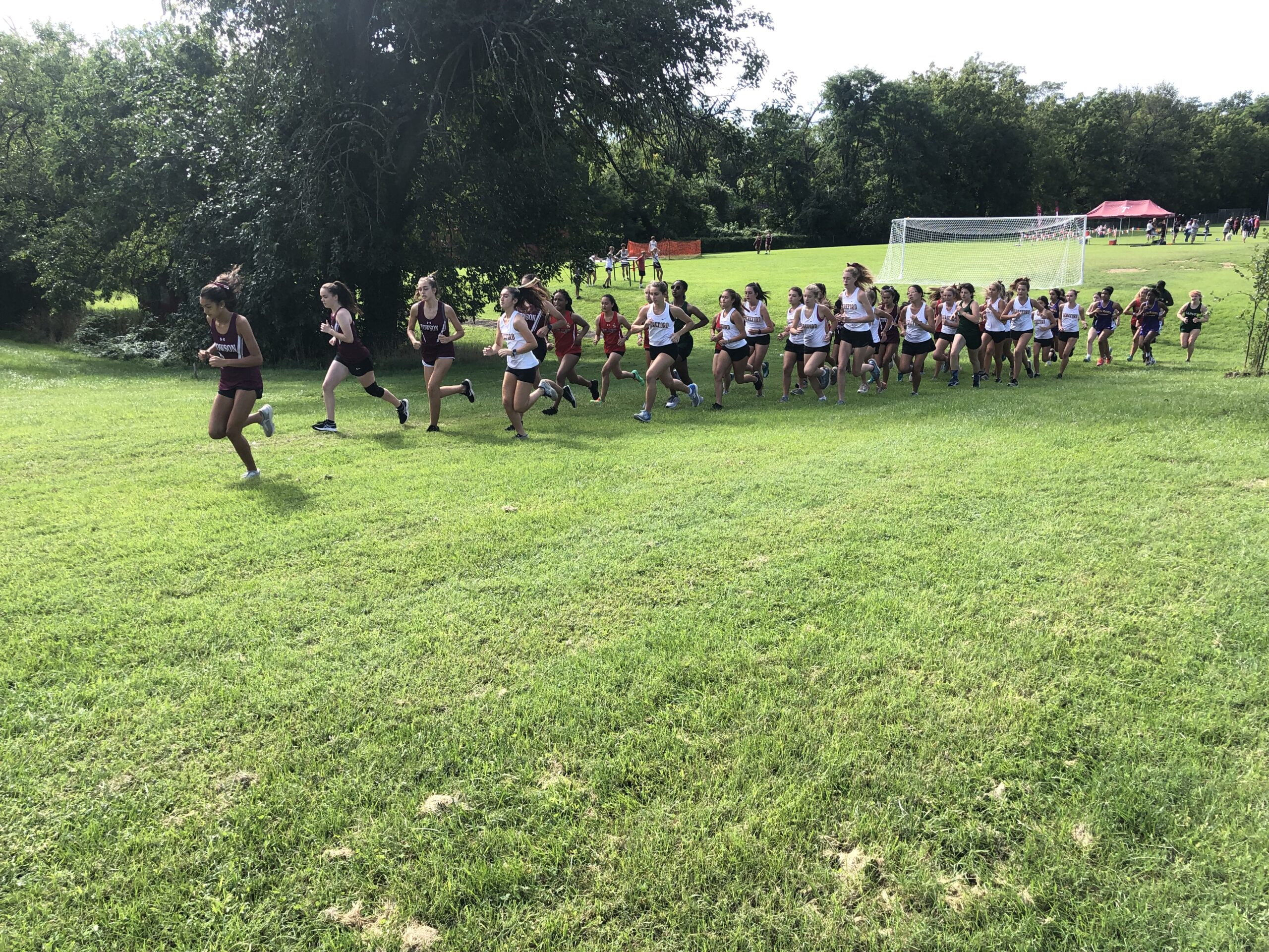 A group of people running on the grass.