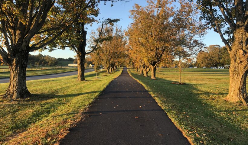 A long path with trees and grass on both sides.