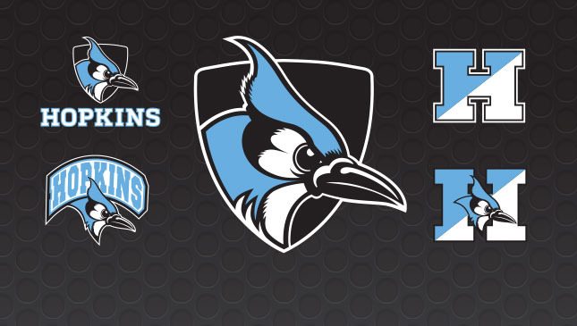 A black background with a blue and white bird logo.