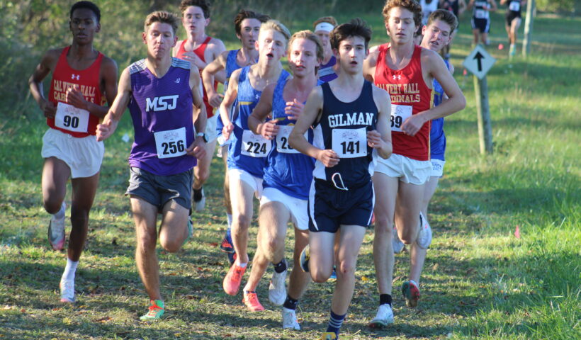 A group of young people running in the grass.