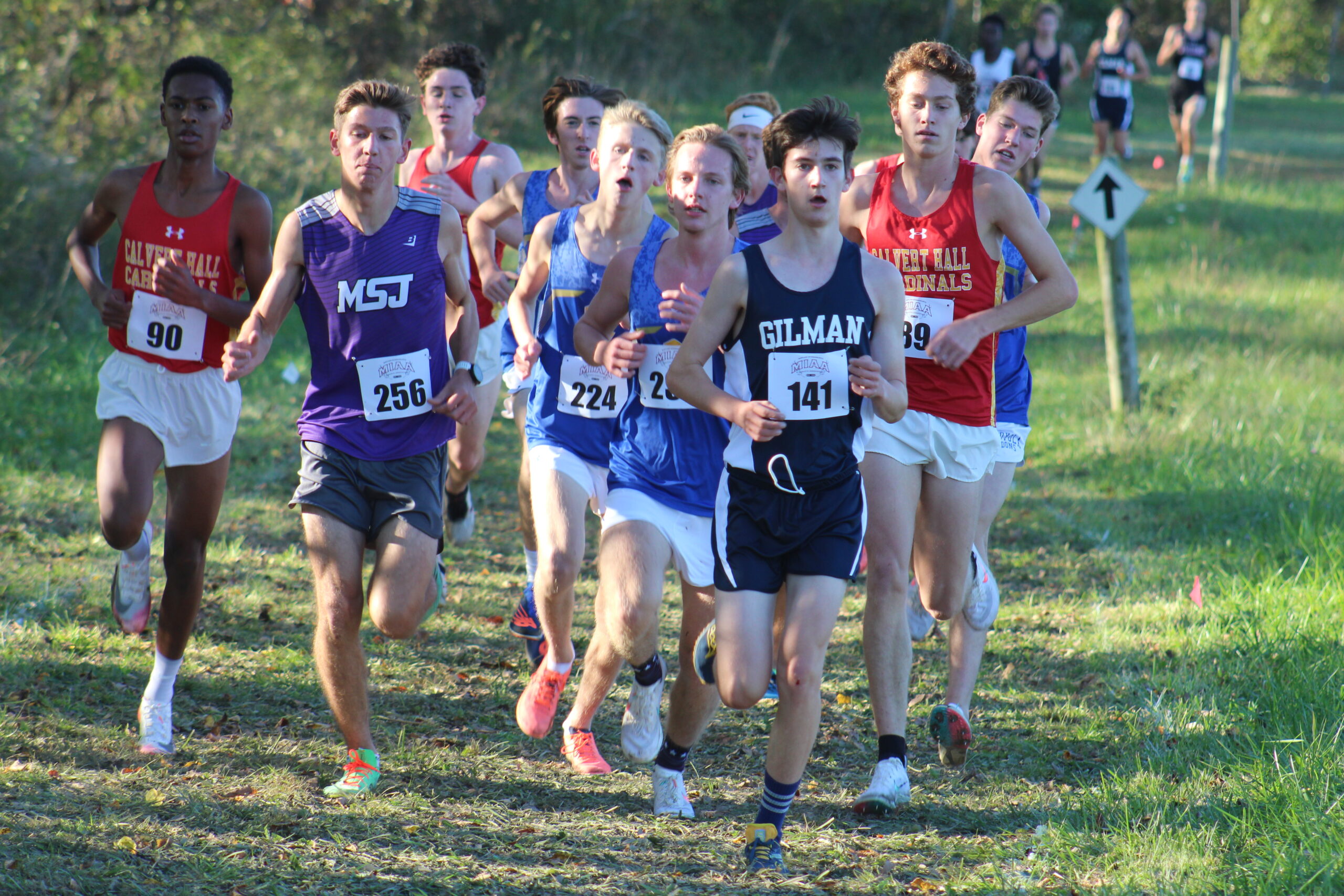 A group of young people running in the grass.