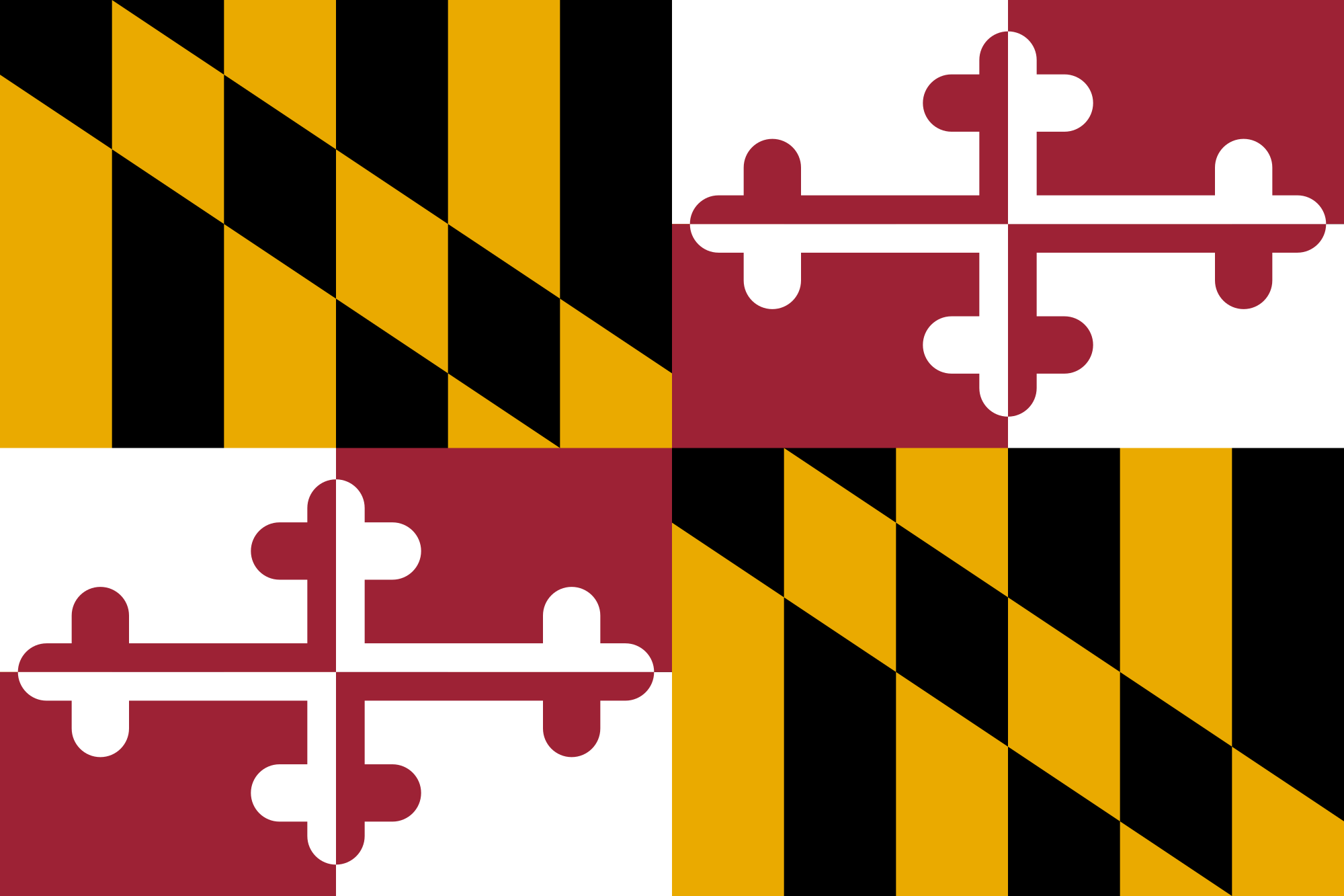 A close up of the flag of maryland