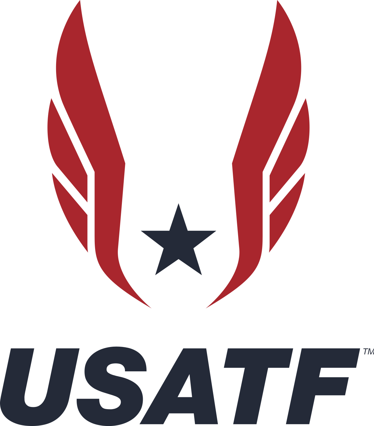 A black background with red and blue logo.