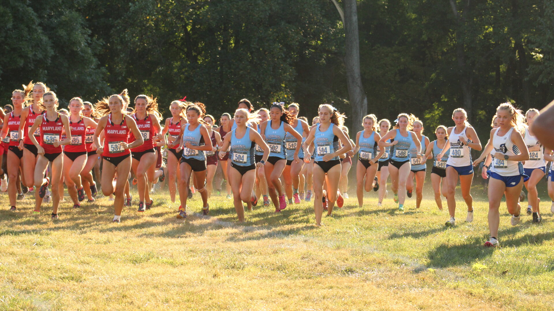 A group of women running in the grass.