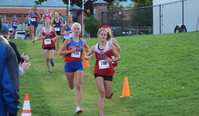 A group of young girls running in the grass.