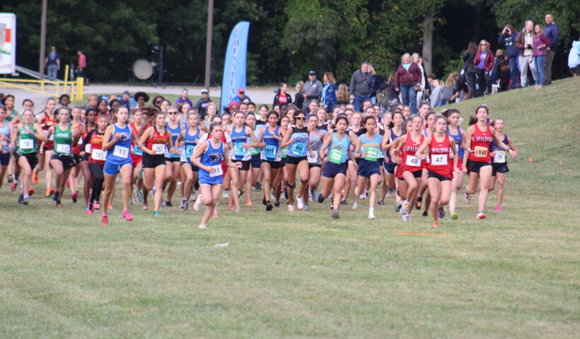 A group of people running on the grass.