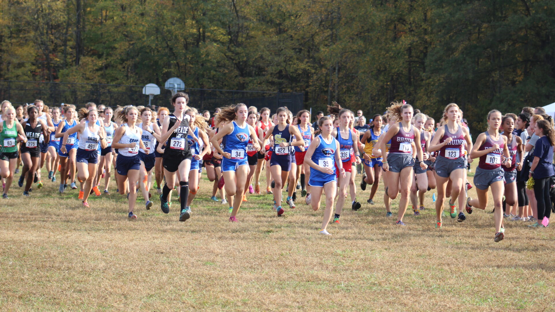 A group of people running in the grass.