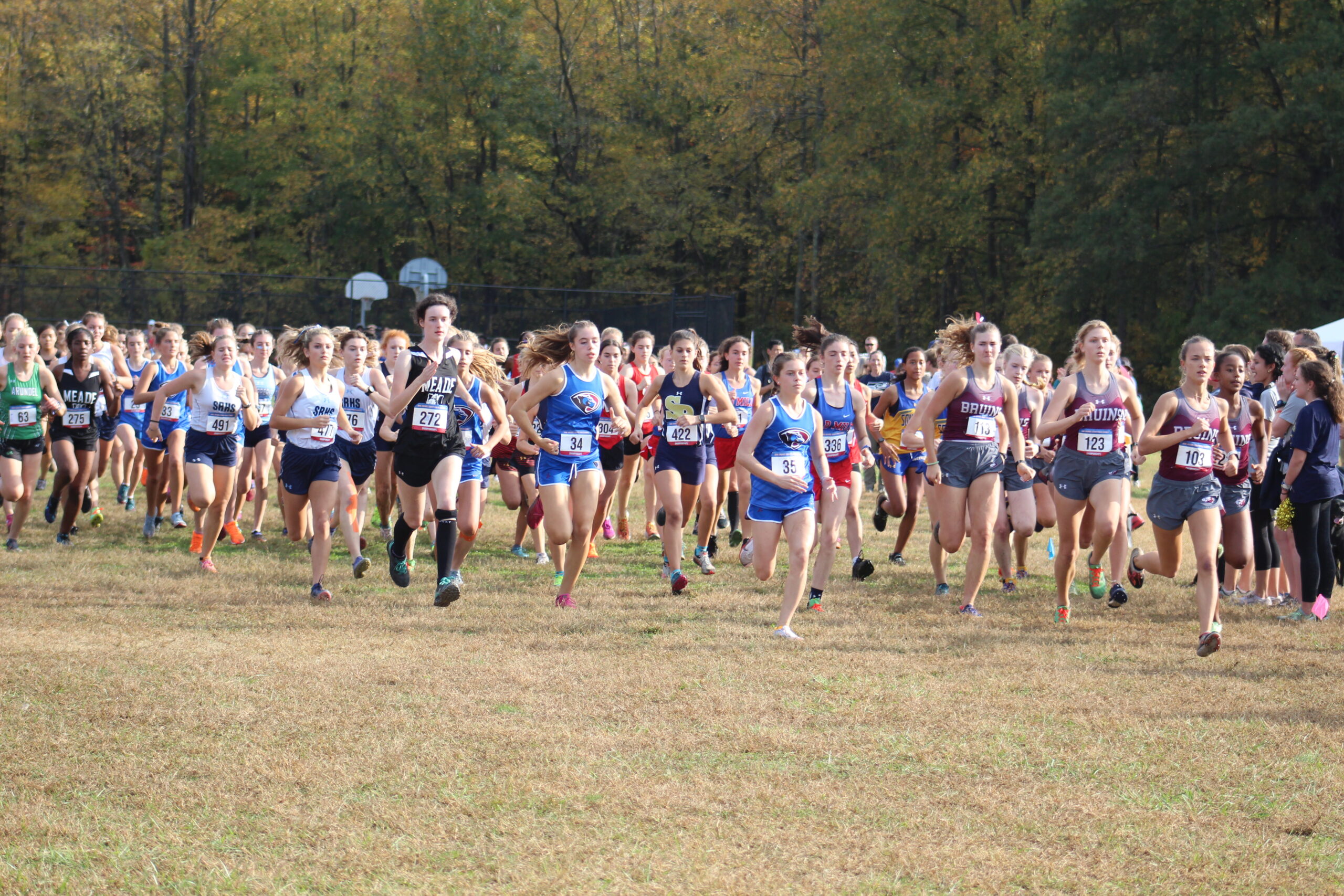 A group of people running in the grass.