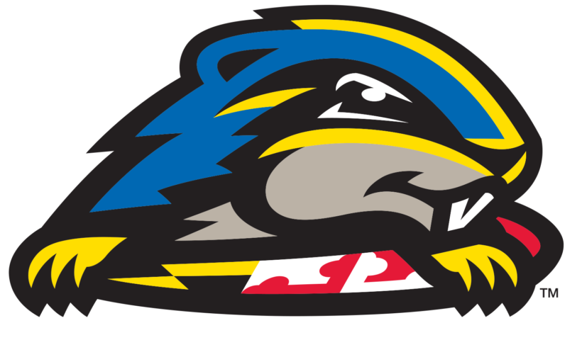 A picture of the university of delaware logo.